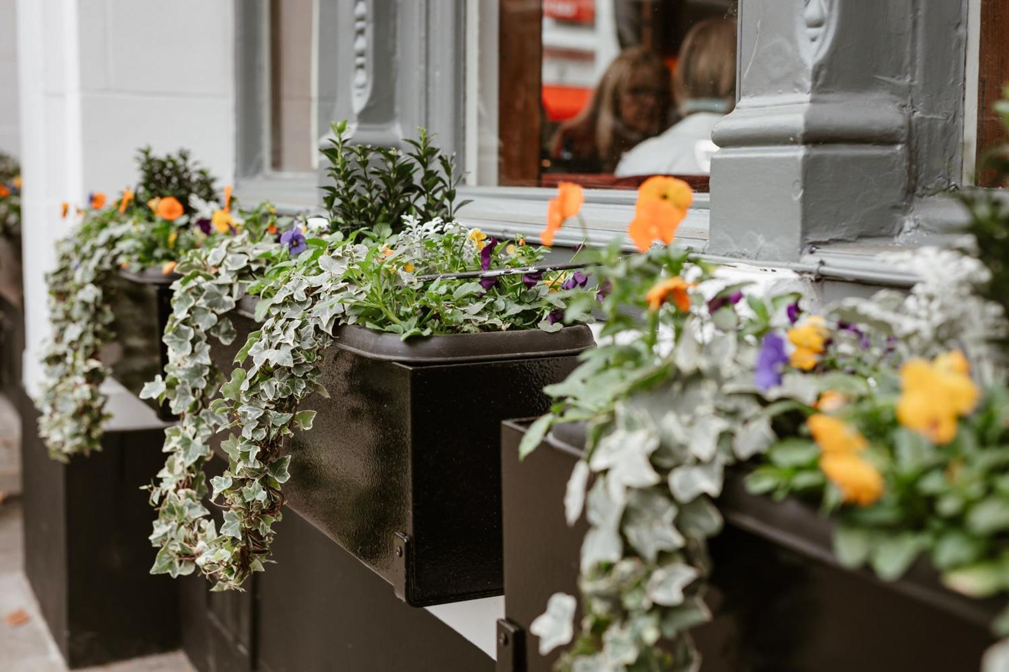 Hand & Flower London Ngoại thất bức ảnh