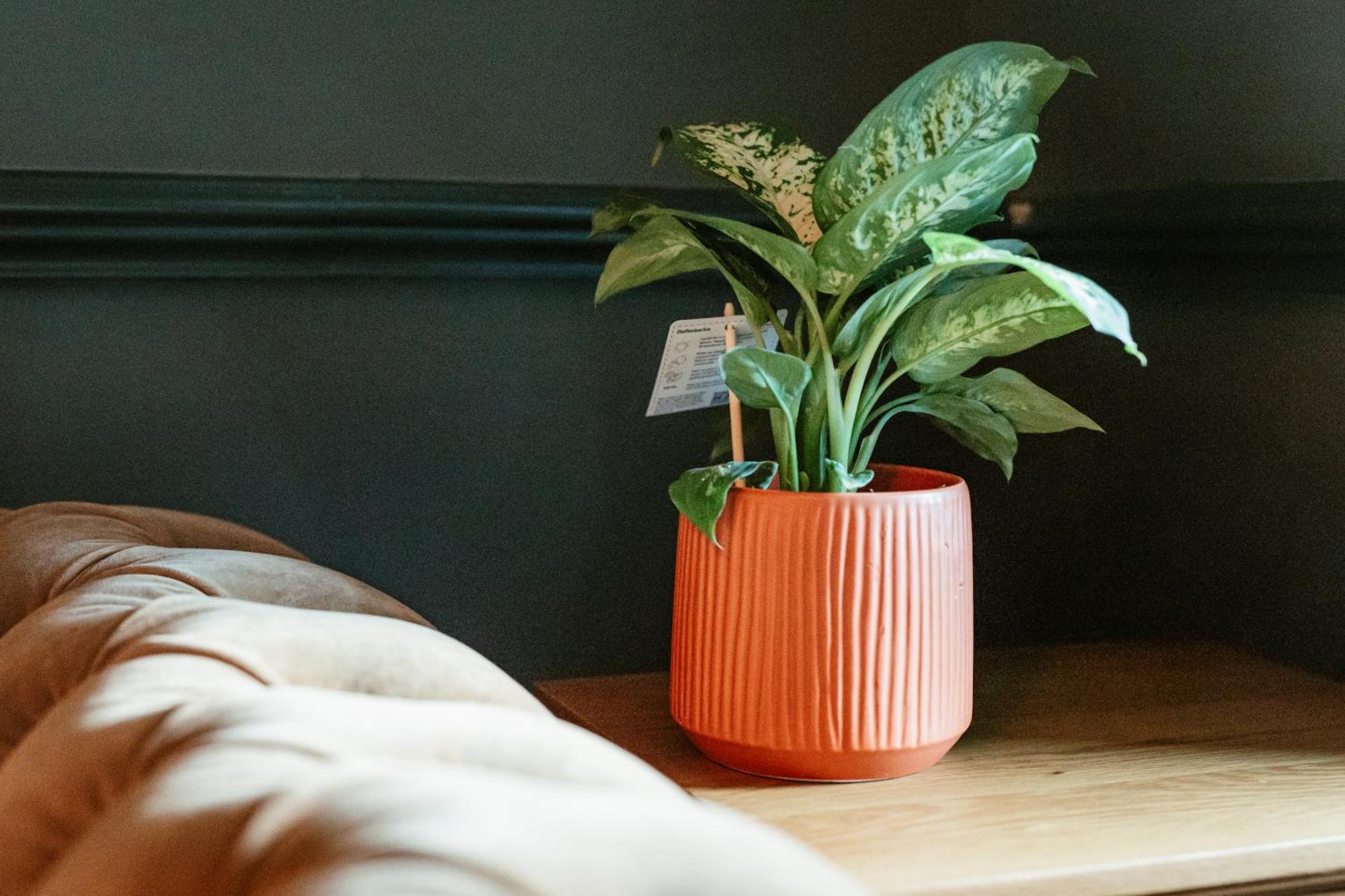 Hand & Flower London Ngoại thất bức ảnh